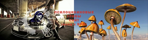 соль ск Нея