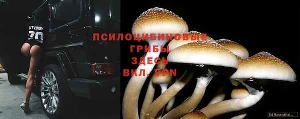 соль ск Нея